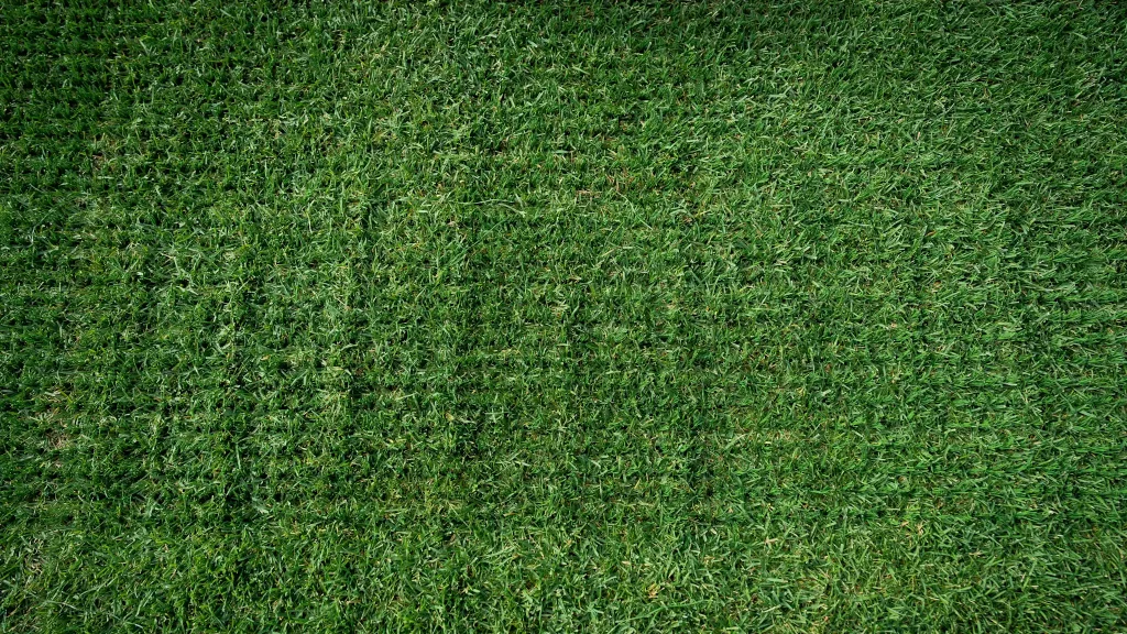 The end result immediately afterwards: the stabilising synthetic fibres protrude from the ground at regular intervals amongst the natural grass.